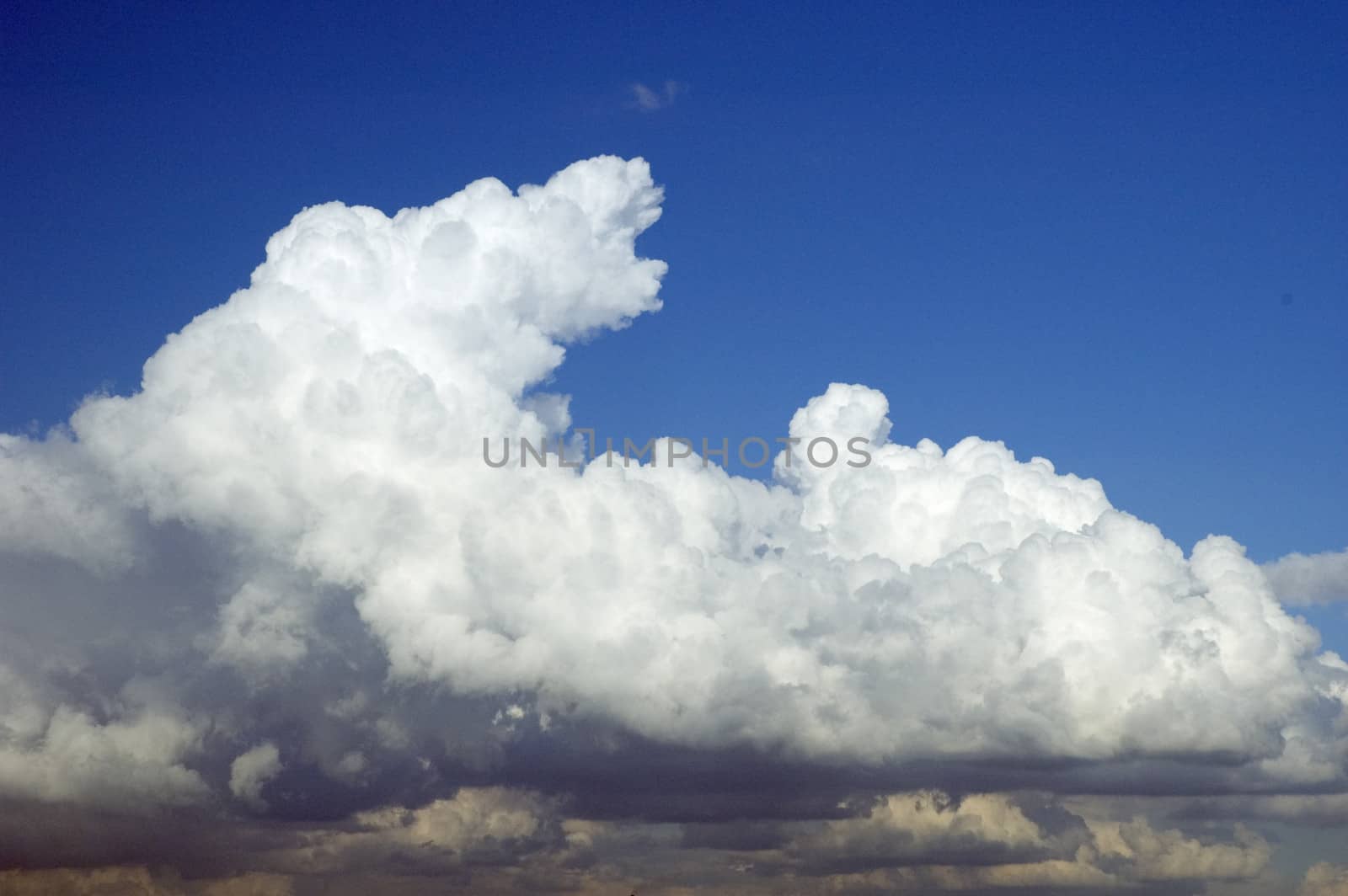 White cloud on the sky