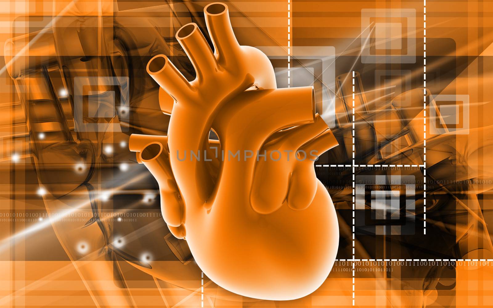 Digital illustration of human heart in colour background