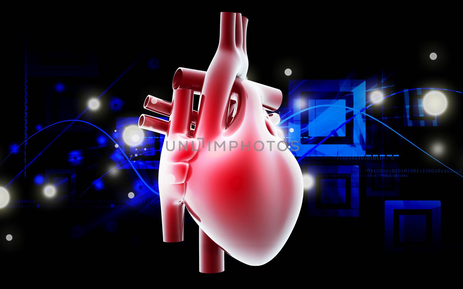 Digital illustration of human heart in colour background
