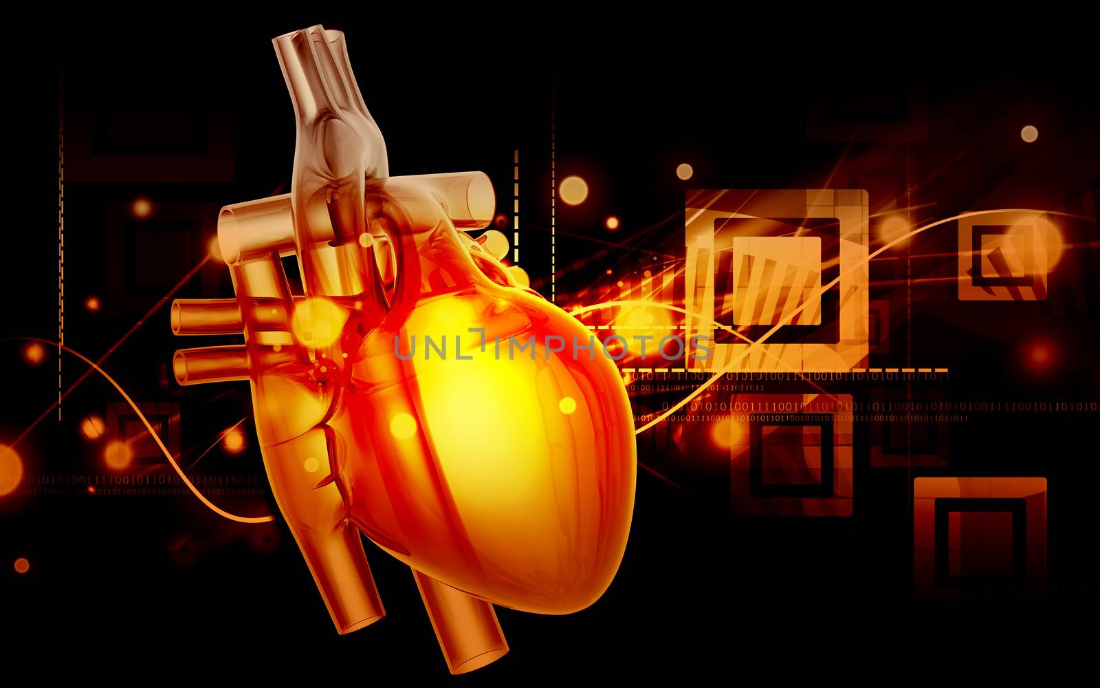 Digital illustration of human heart in colour background