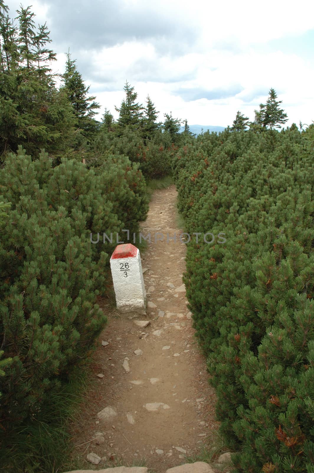 Trail with border post in Karkonosze mountains in Poland / Czech republic