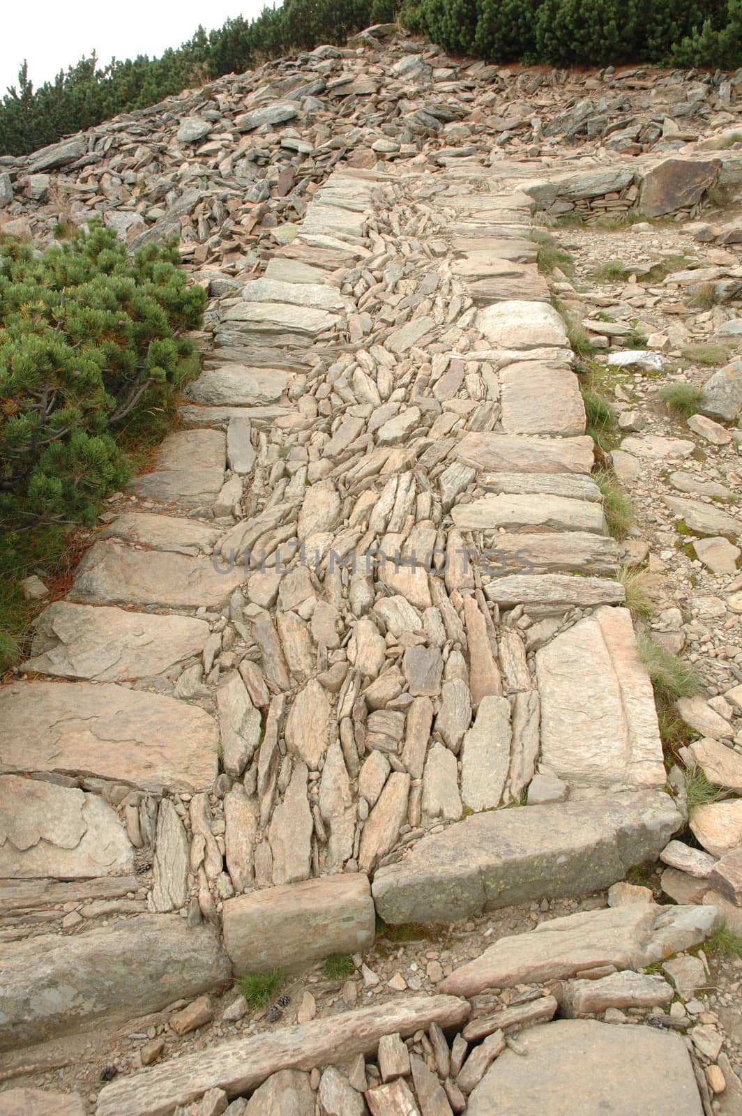 Trail in Karkonosze mountains by janhetman