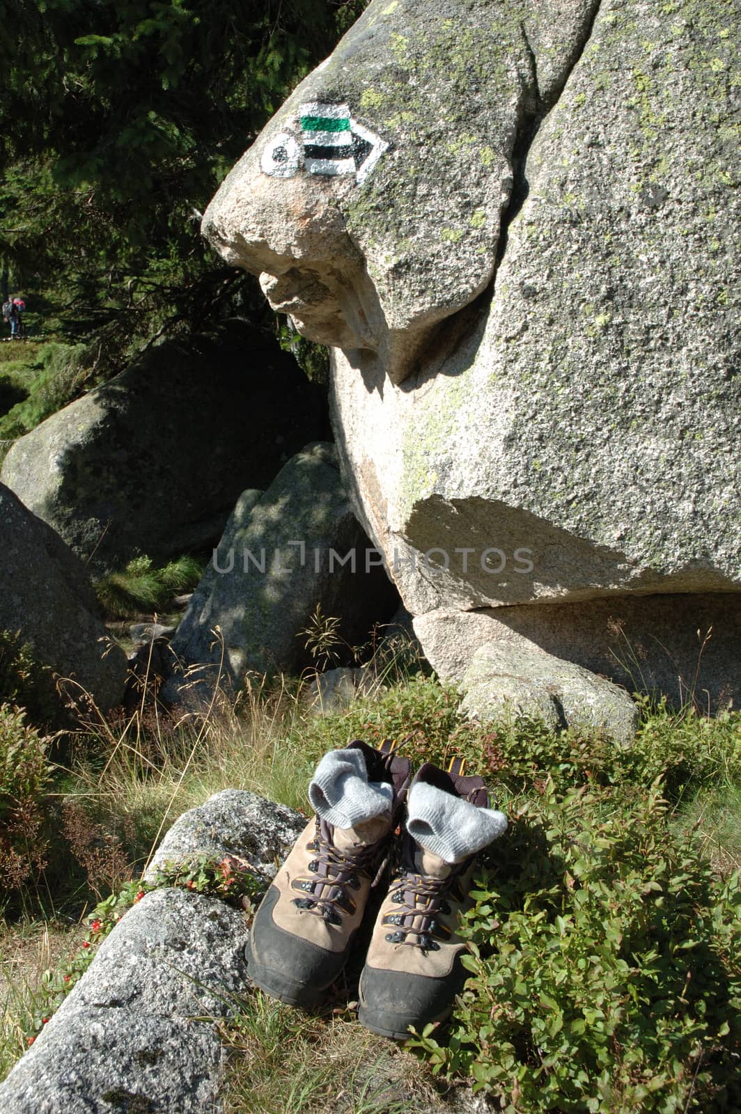 Trail signs and trekking shoes somewhere in karkonosze mountains