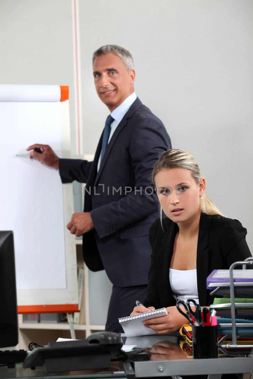 Boss explaining theory to assistant by phovoir