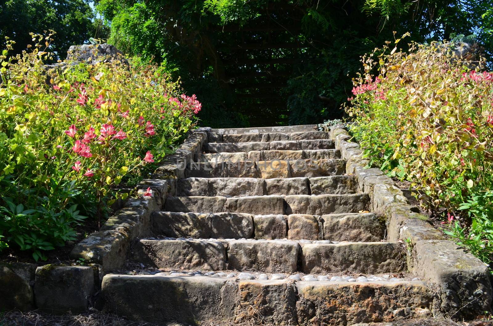 Stone steps surrounded by flowers in a English formal country garden.