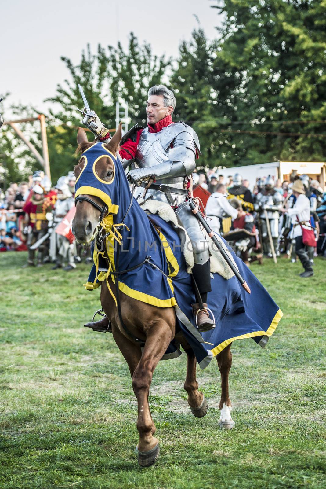 LIW, POLAND 17 AUGUST: Members of Medieval Reinactment Order fight in Liw Tournament on 17 August 2013 in Liw, Poland