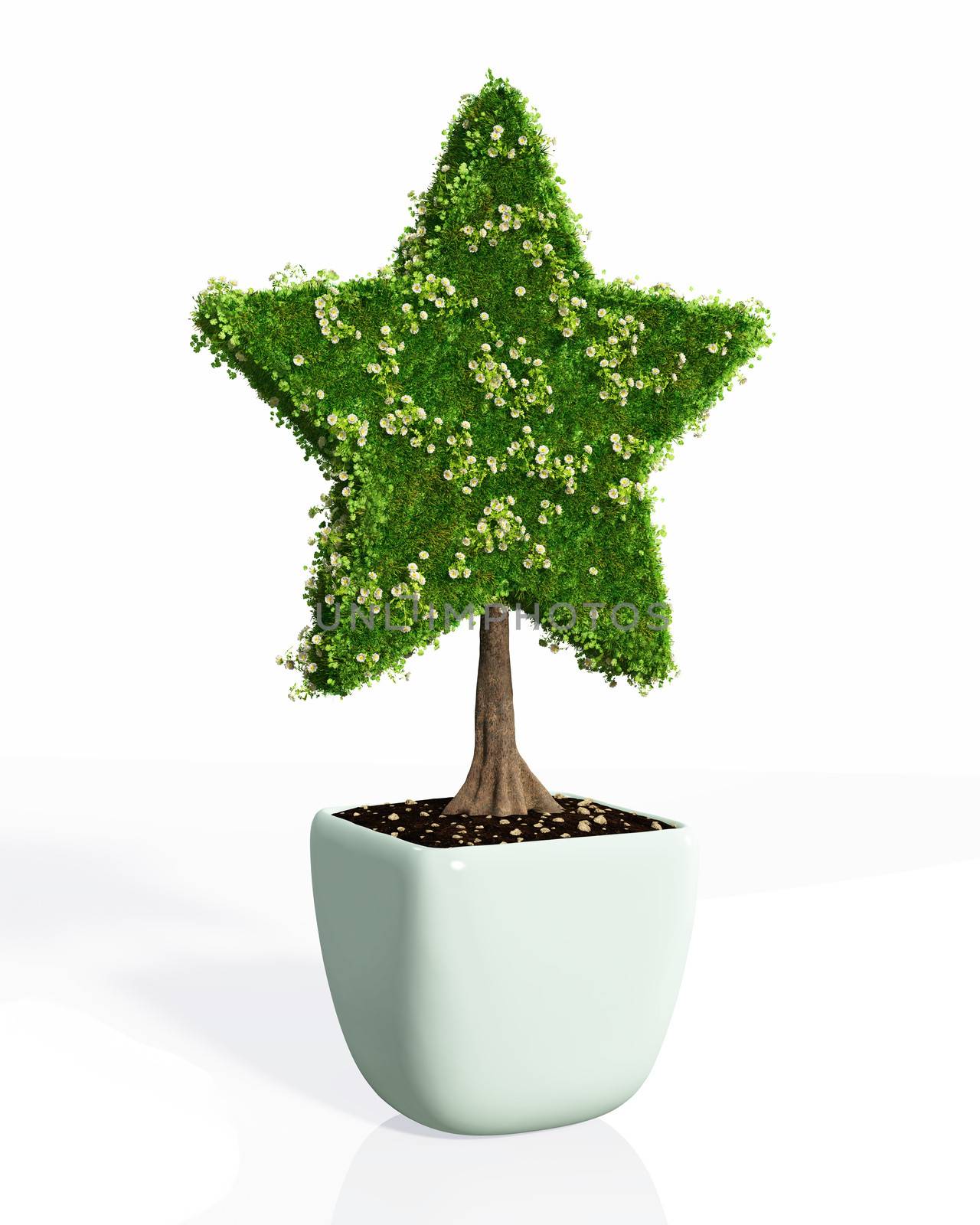 a small plant in the shape of star planted in a white pot is fully covered by grass and flowers, on a white background