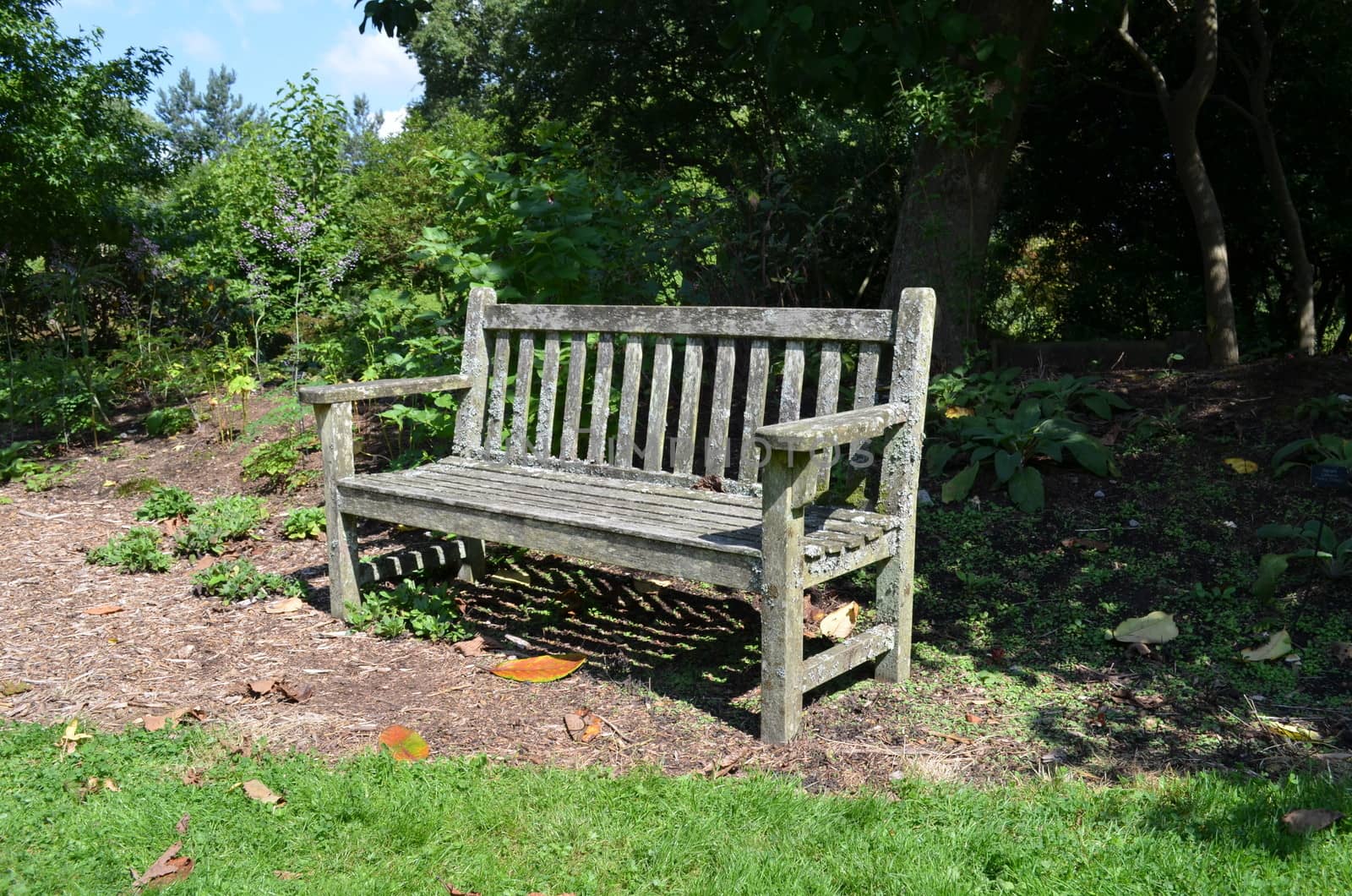 A wooden bench set in a parkland setting in the Summer of 2013, England.