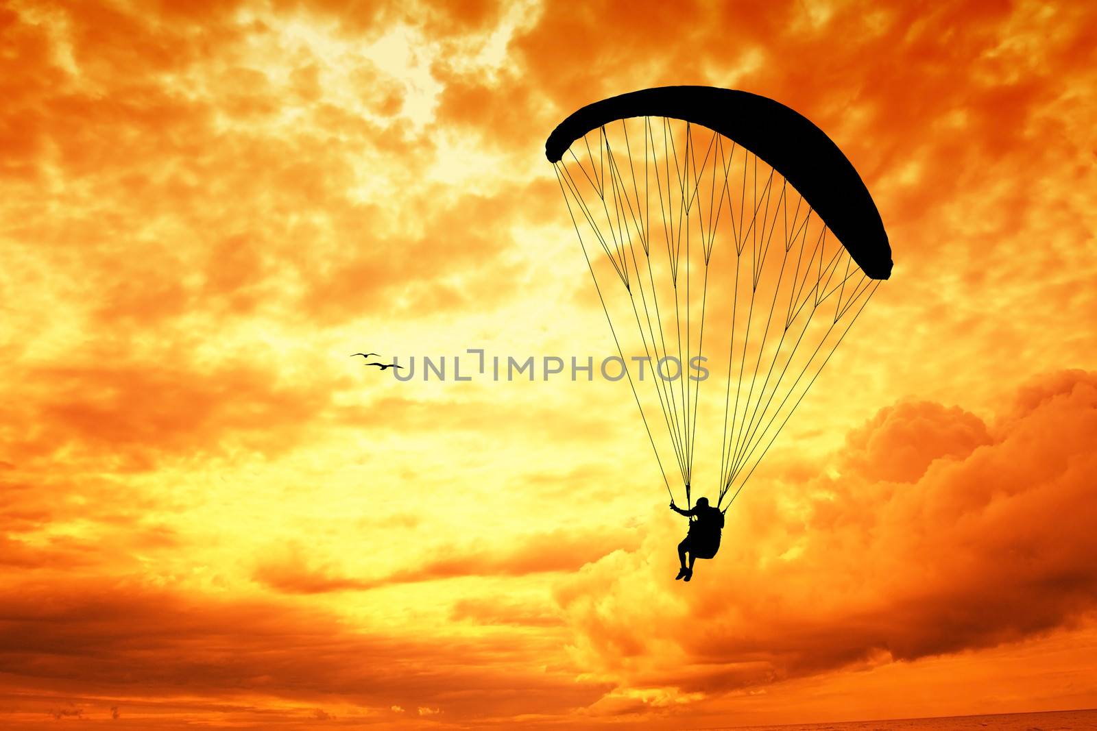 Paragliding silhouette at sunset