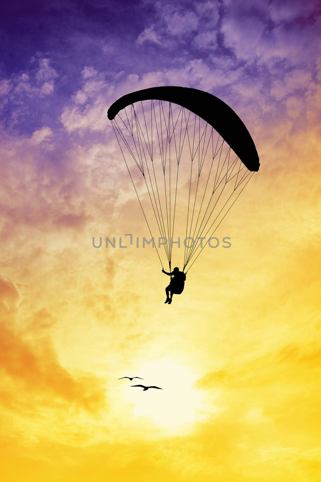 Paragliding by adrenalina