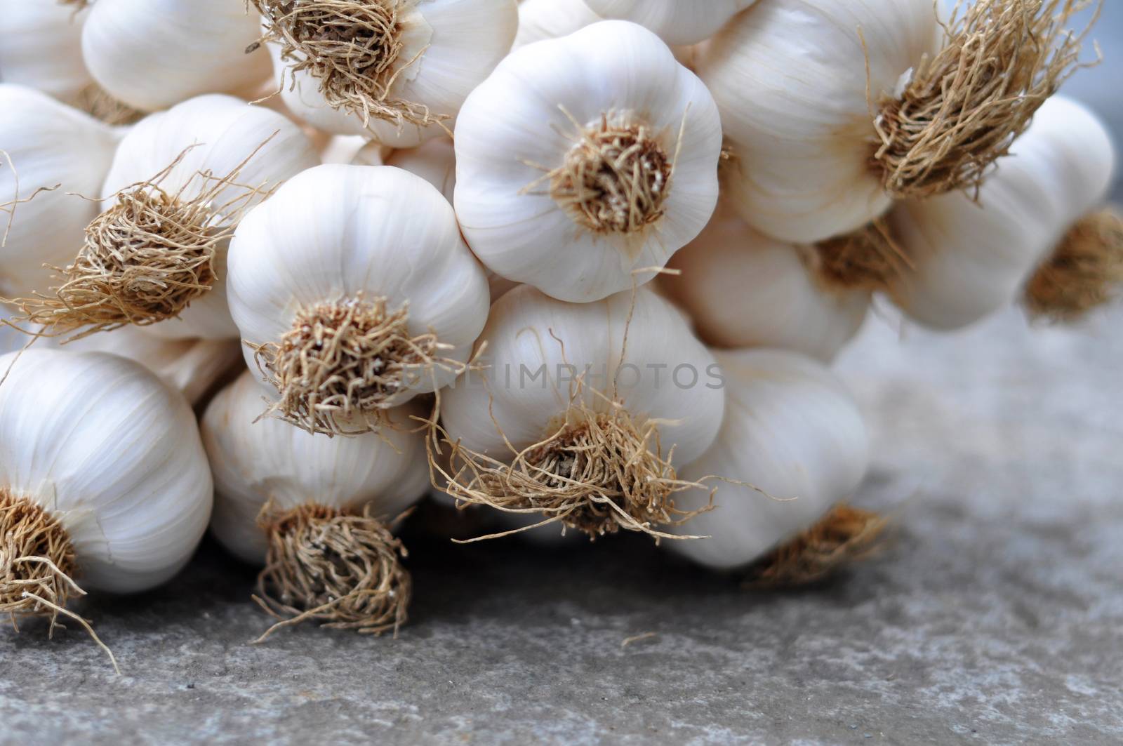 Garlic bulbs braid on a gray raw stone table