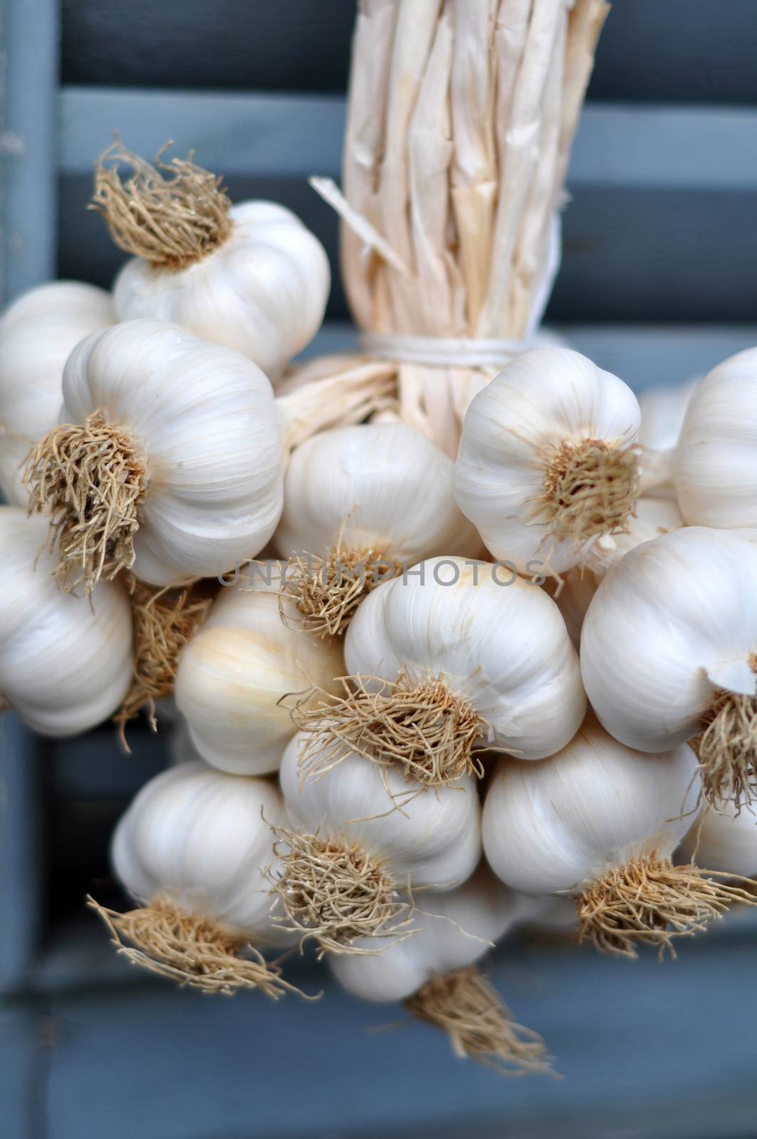 Garlic bulbs braid drying on a shutter of a country house