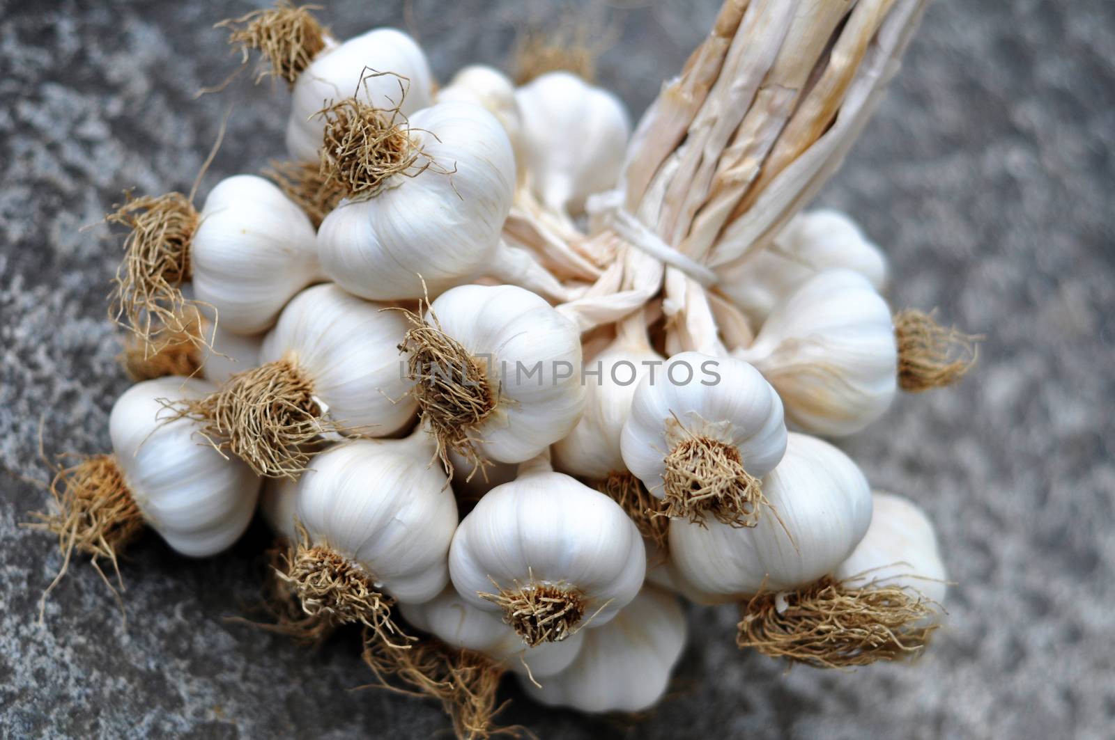 Garlic bulbs braid on a gray raw stone table