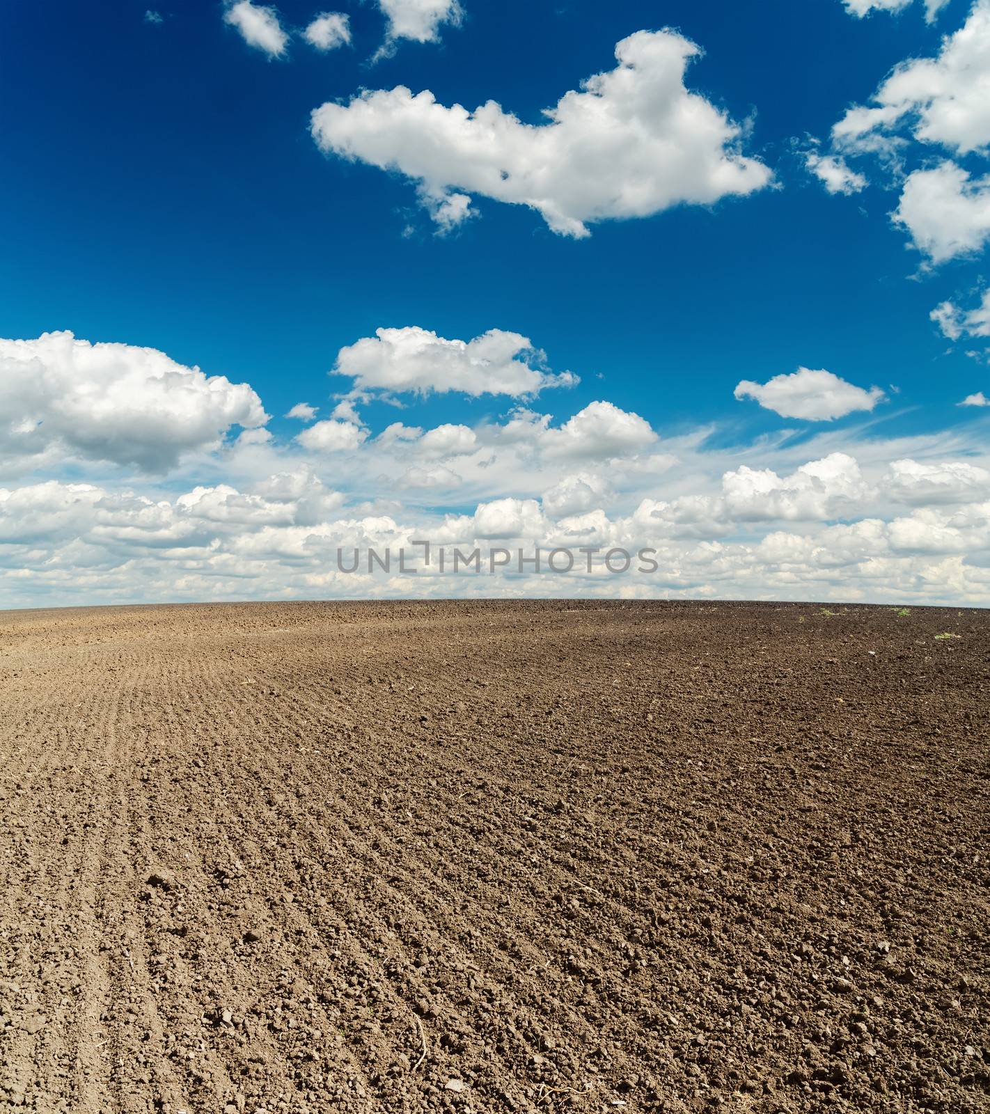 black plowed field after harvesting and blue cloudy sky