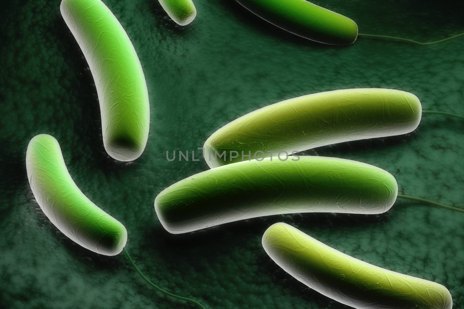 Digital illustration of Coli bacteria in colour background