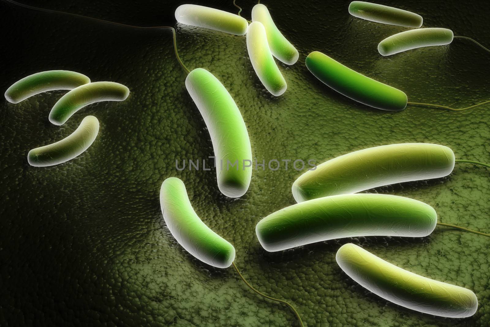 Digital illustration of Coli bacteria in colour background