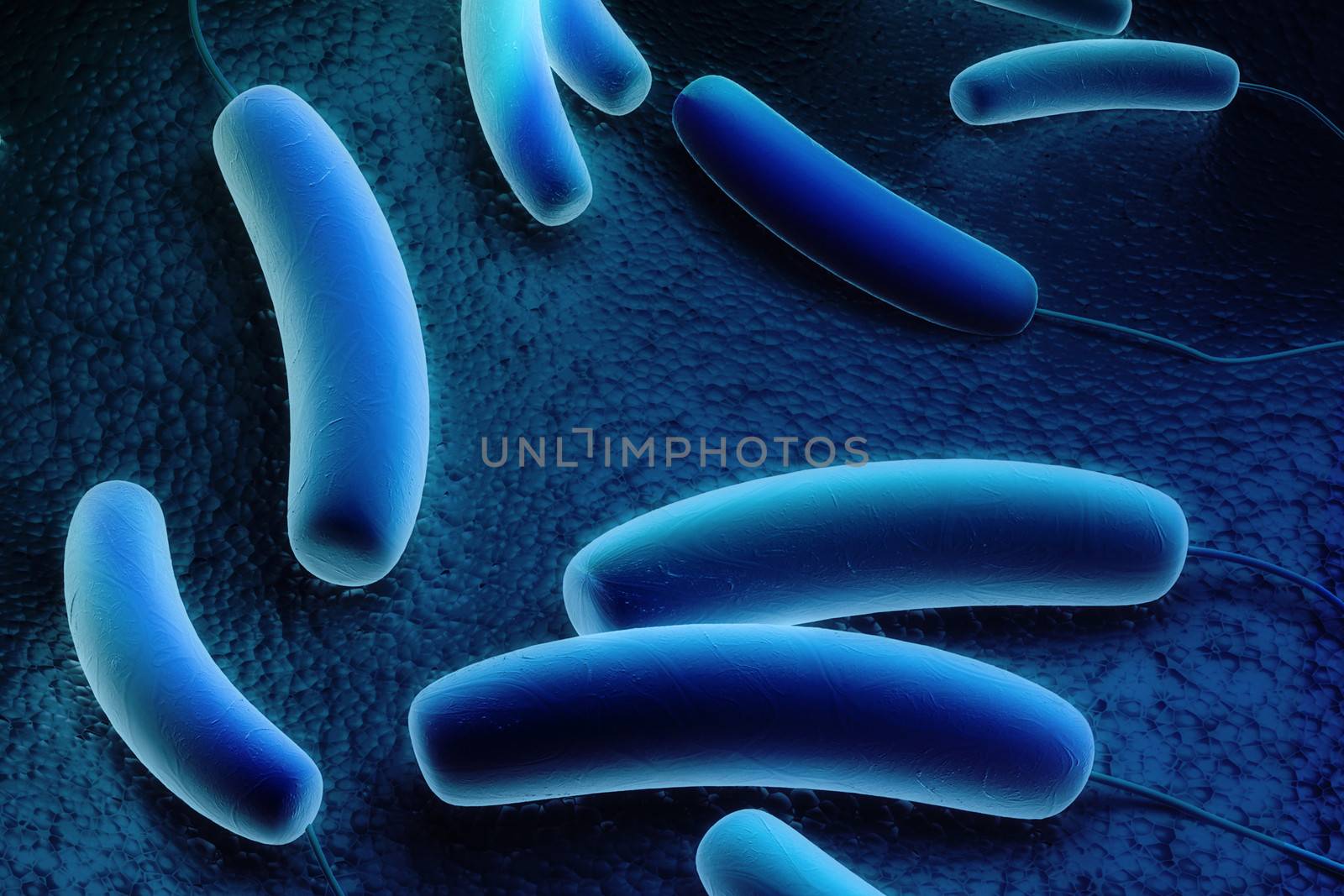 Coli bacteria by abhi3747