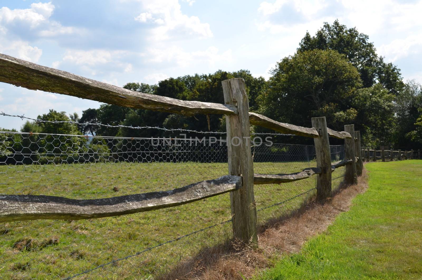 Rustic wooden fencing surrounding a English pasture field.