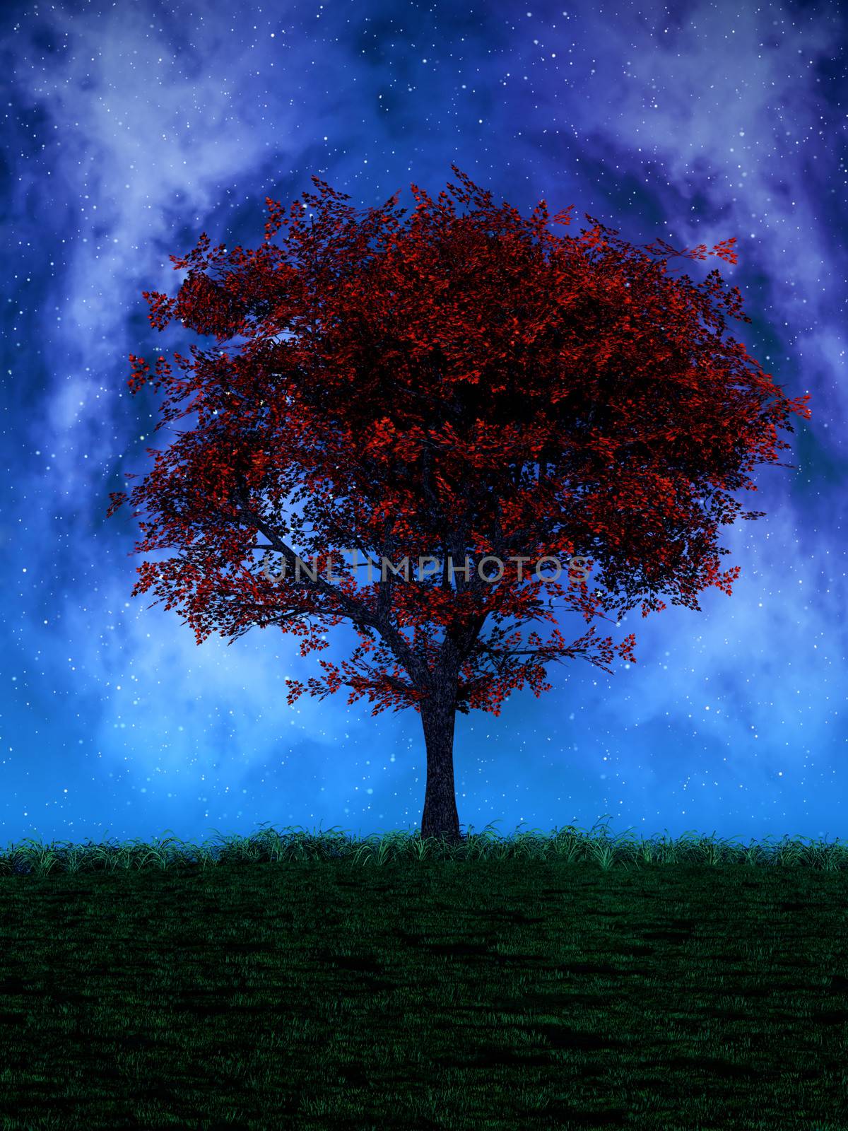 Tree by Night by Ragnar
