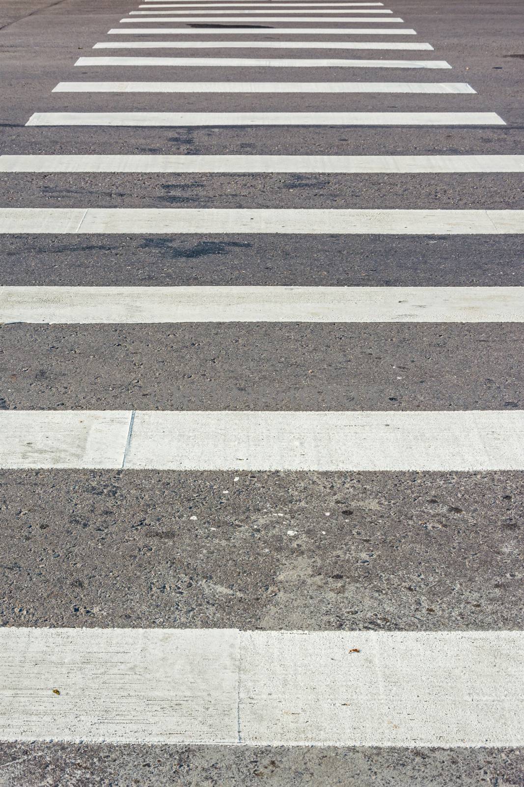 Zebra pedestrian crossing by elwynn