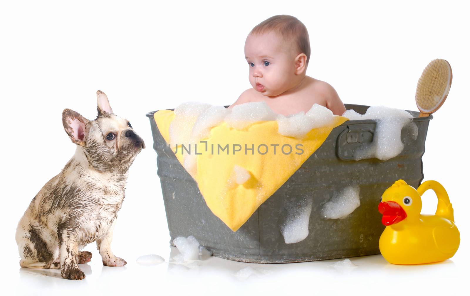 baby and puppy getting bath by willeecole123