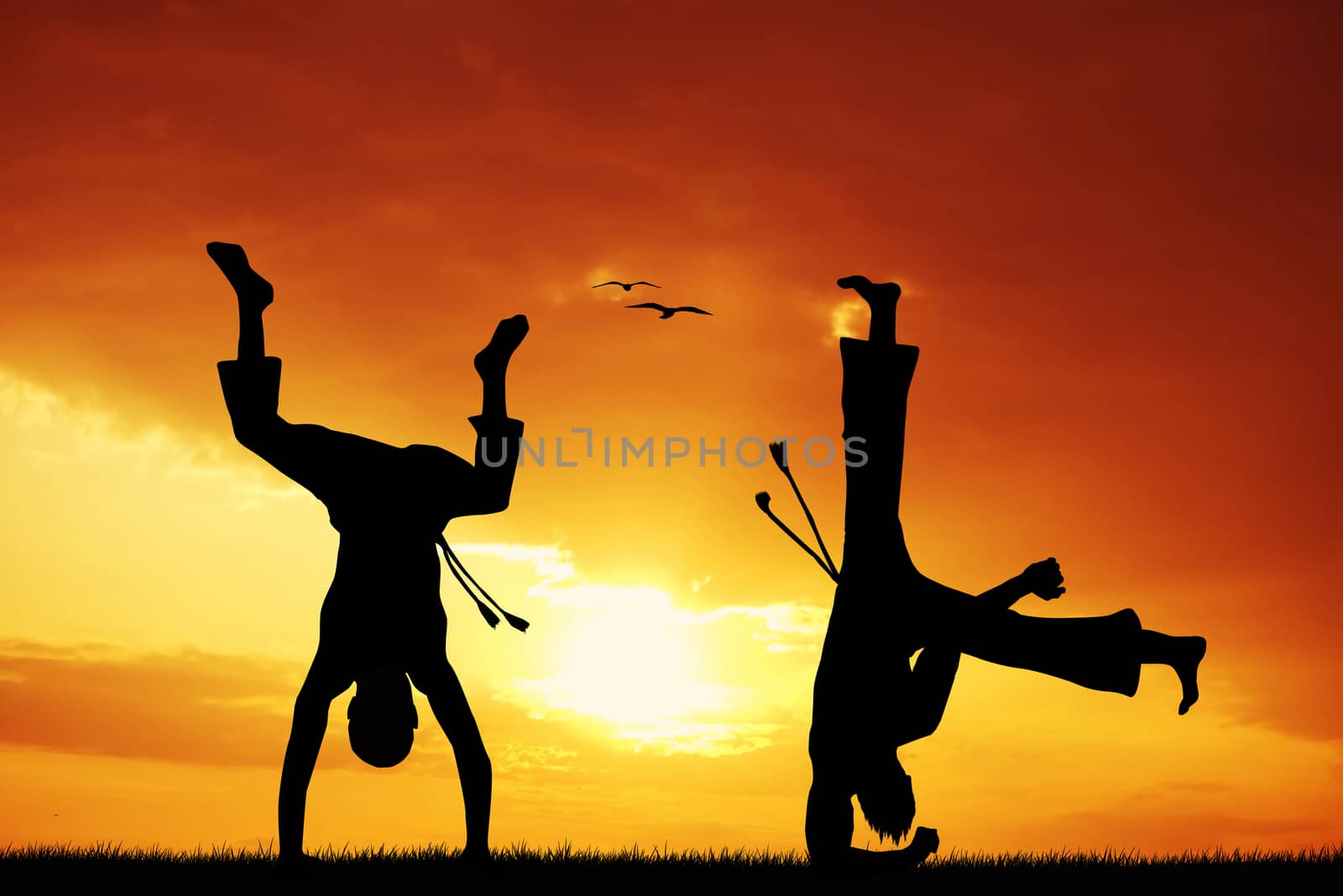 Capoeira at sunset