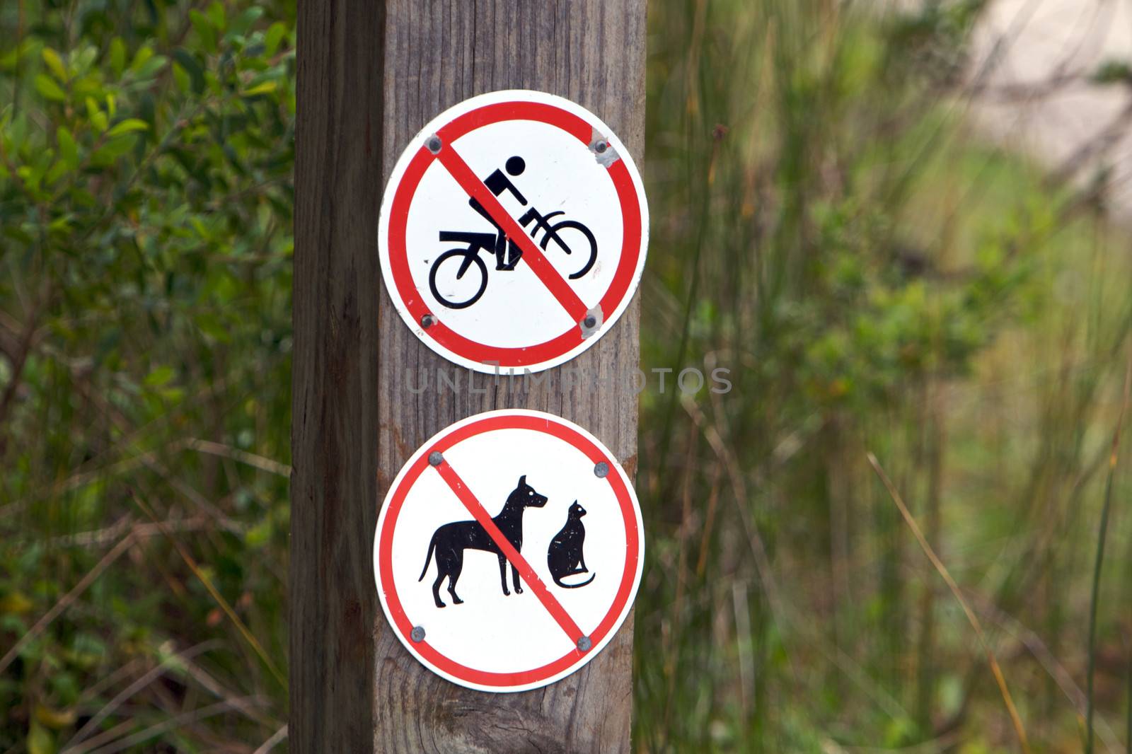 No Entry Road Sign - 
No bicycle and animals