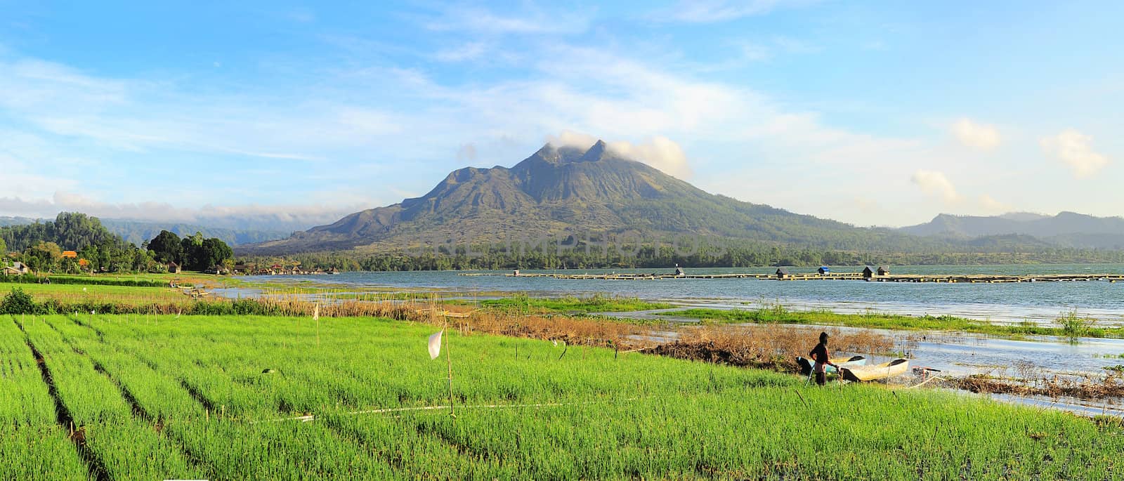 Landscape with onion fields, lake and volcano Batur at sunrise. Bali