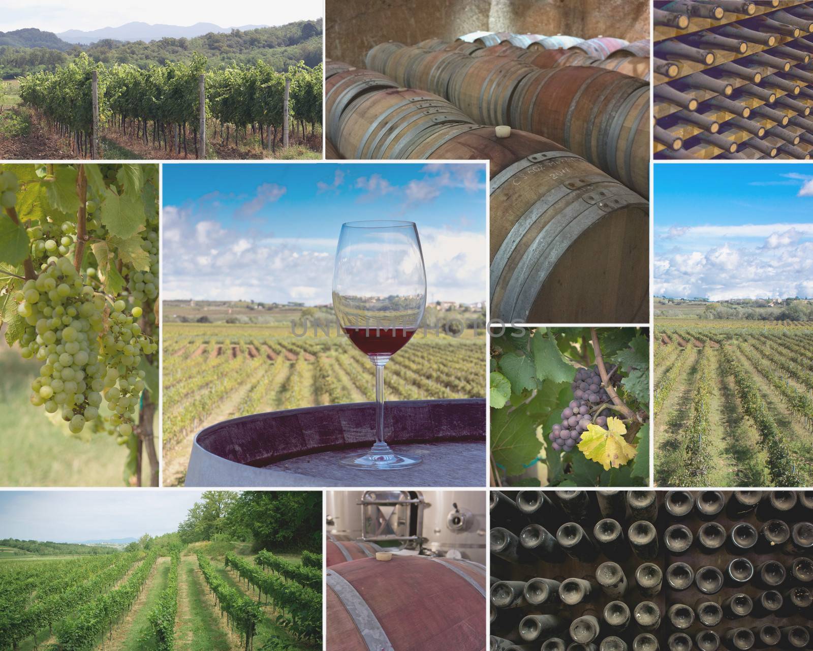 Colorful collage of  vineyards and wineries images