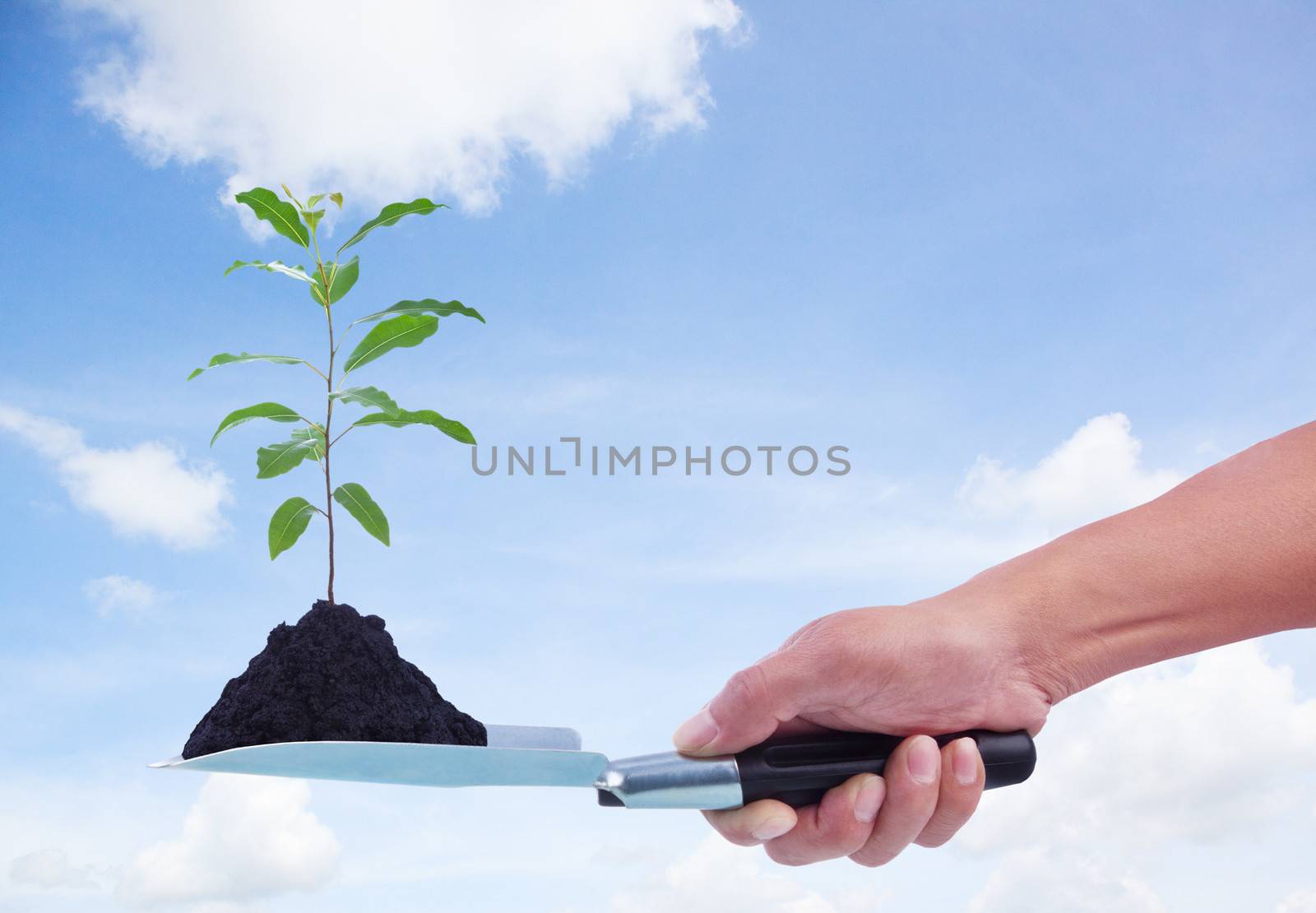 human hand holding little tree on garden tool with blue sky background
