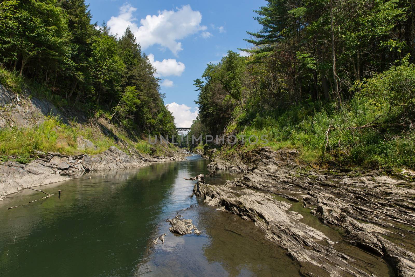 This is a view of the Ottauquechee River flowing through the Quechee Gorge State Park.