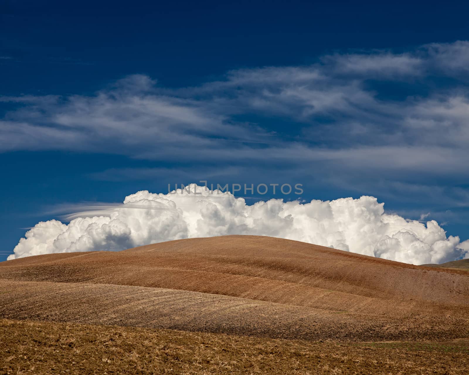 Cultivated fields with big fluffy white cloud in Alentejo, in the south of Portugal.