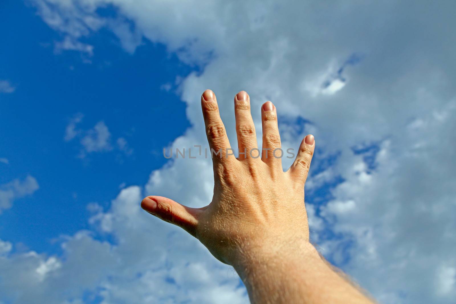 Human Hand stretch to the Blue Summer Sky