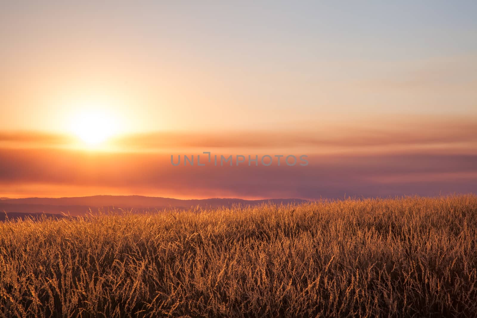 Beautiful sunset over mountain field. by ajn