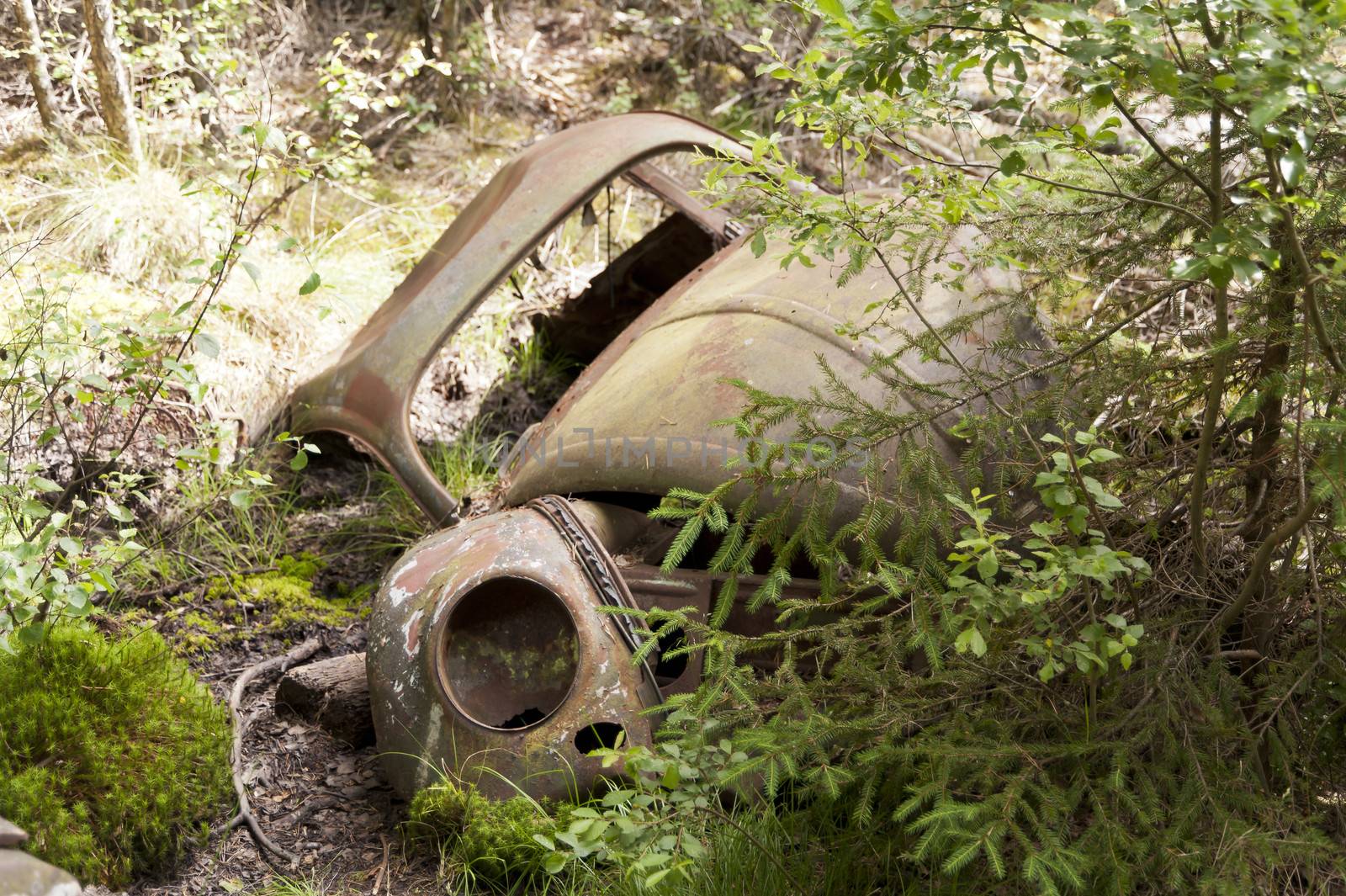 Car Dump in Kirkoe Mosse, Sweden