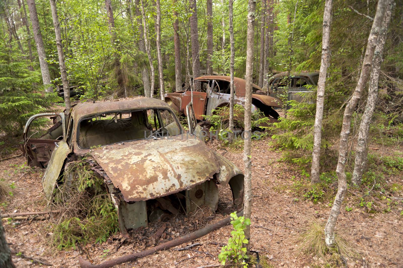Car Dump in Kirkoe Mosse, Sweden