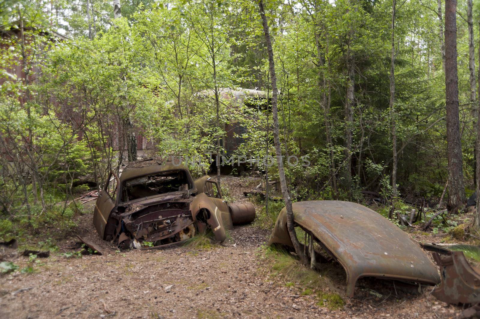 Car Dump in Kirkoe Mosse, Sweden