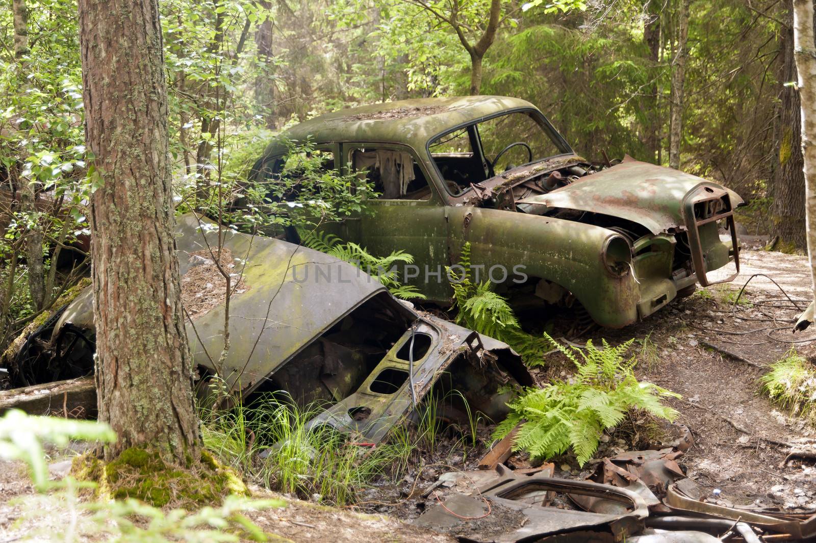 Car Dump in Kirkoe Mosse, Sweden
