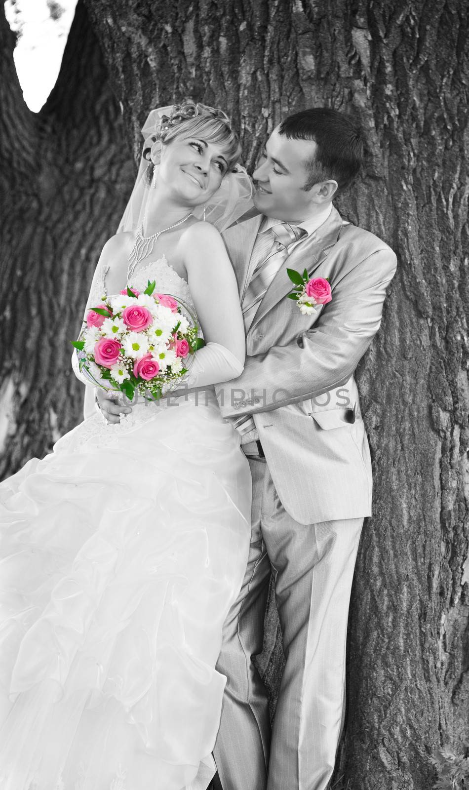 wedding couple on the background of a tree trunk by mihalec