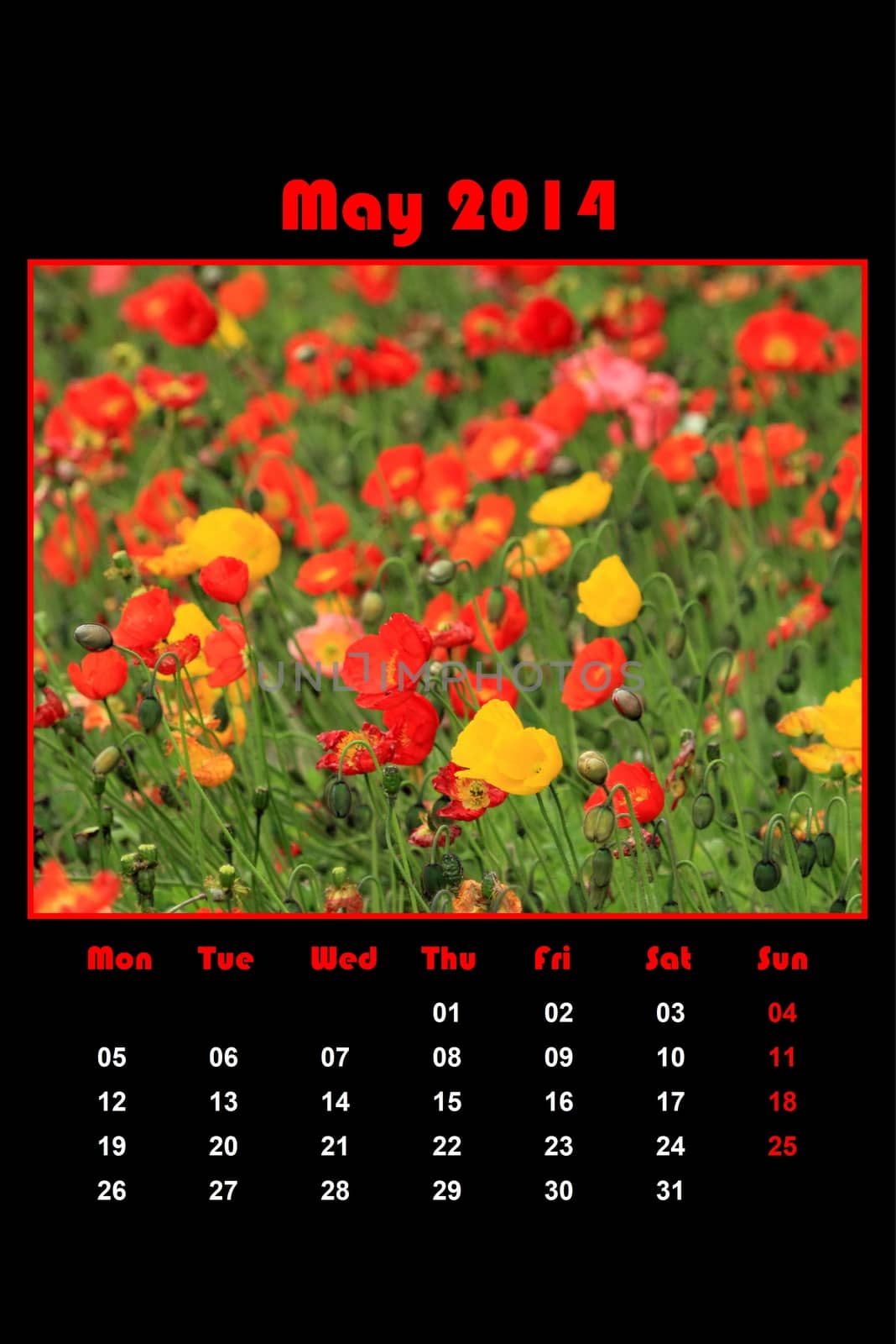 Colorful english calendar for may 2014 in black background, dandelions and green grass