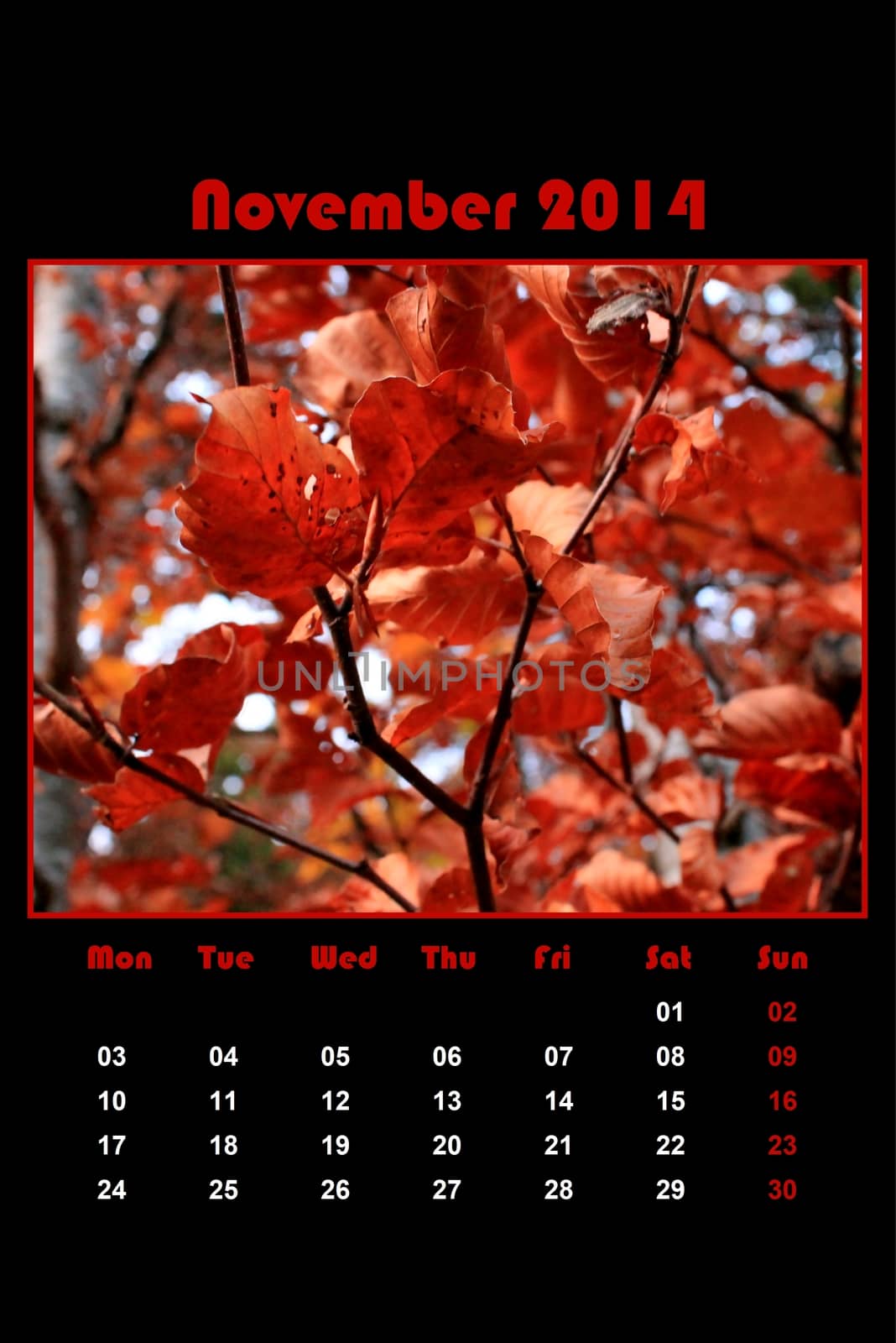 Colorful english calendar for november 2014 in black background, red leaves