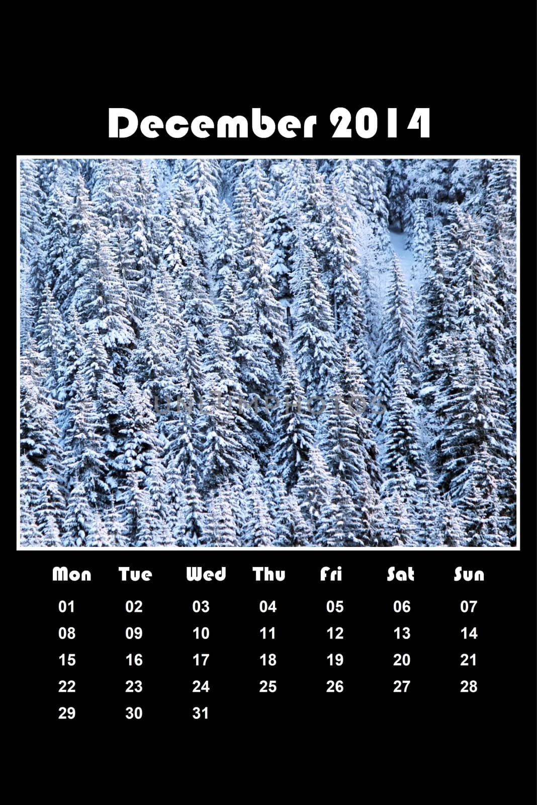 Colorful english calendar for december 2014 in black background, fir trees forest covered with snow