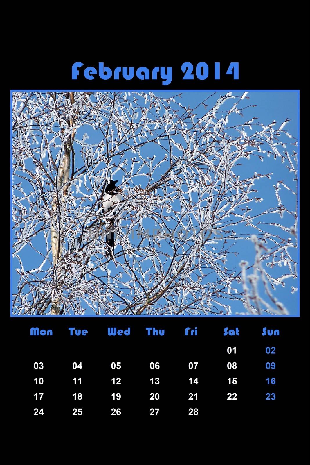 Colorful english calendar for february 2014 in black background, frozen branches and magpie