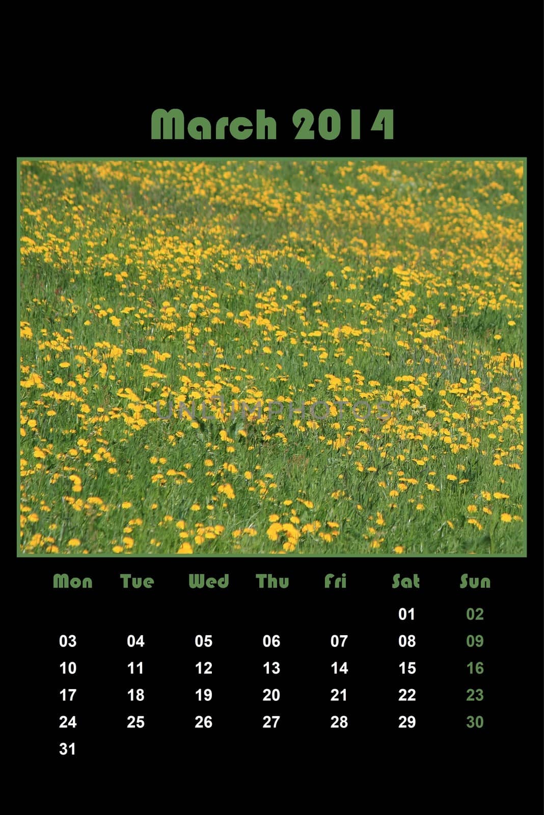 Colorful english calendar for march 2014 in black background, dandelions and green grass