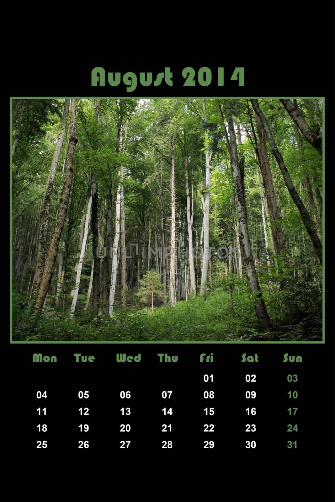 Colorful english calendar for august 2014 in black background, green forest