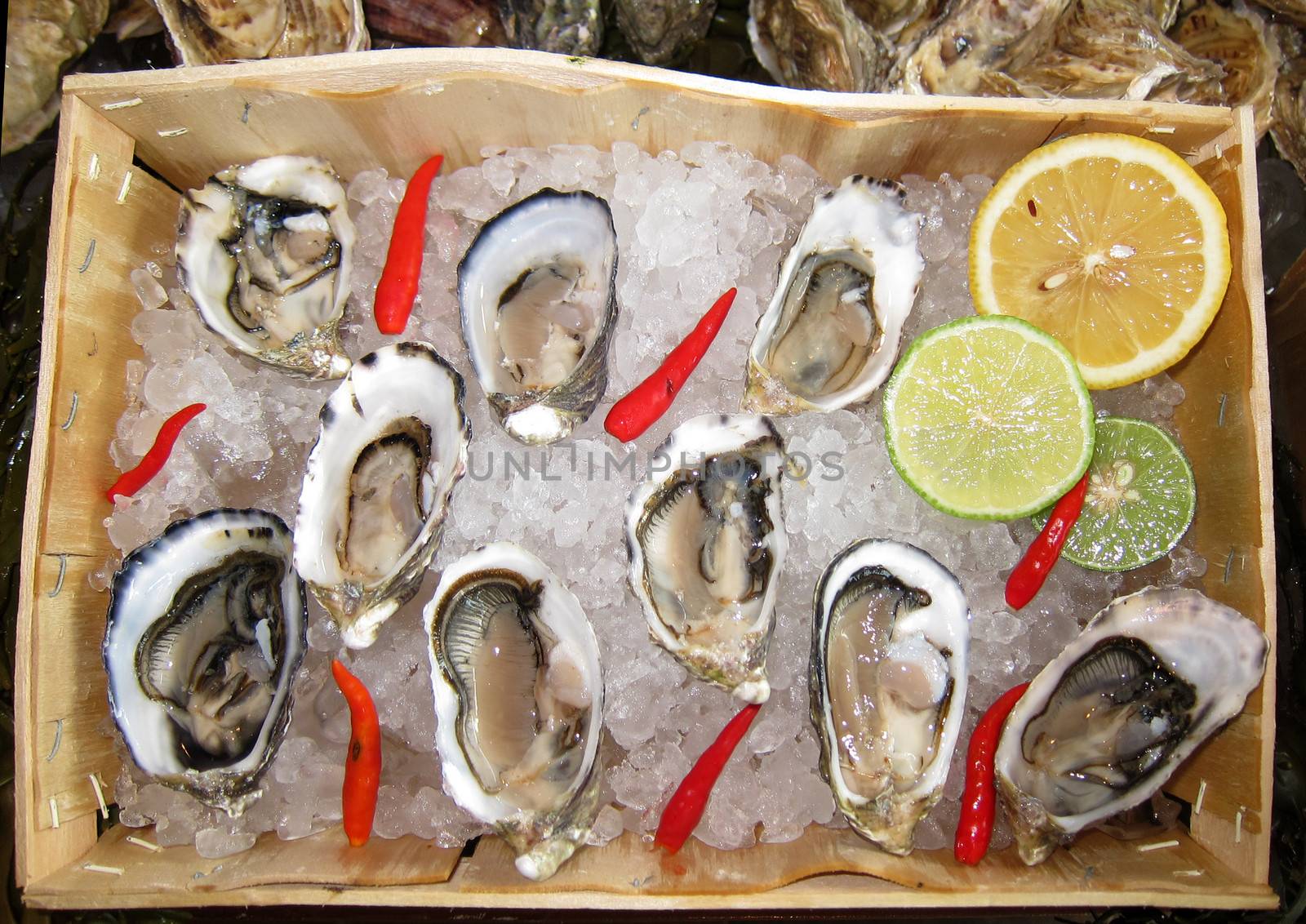 Box of fresh oysters on ice