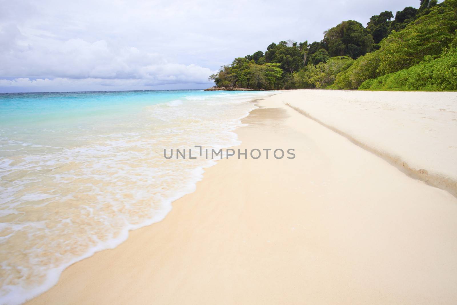 white sand beach of tachai island southern thailand similan national park 