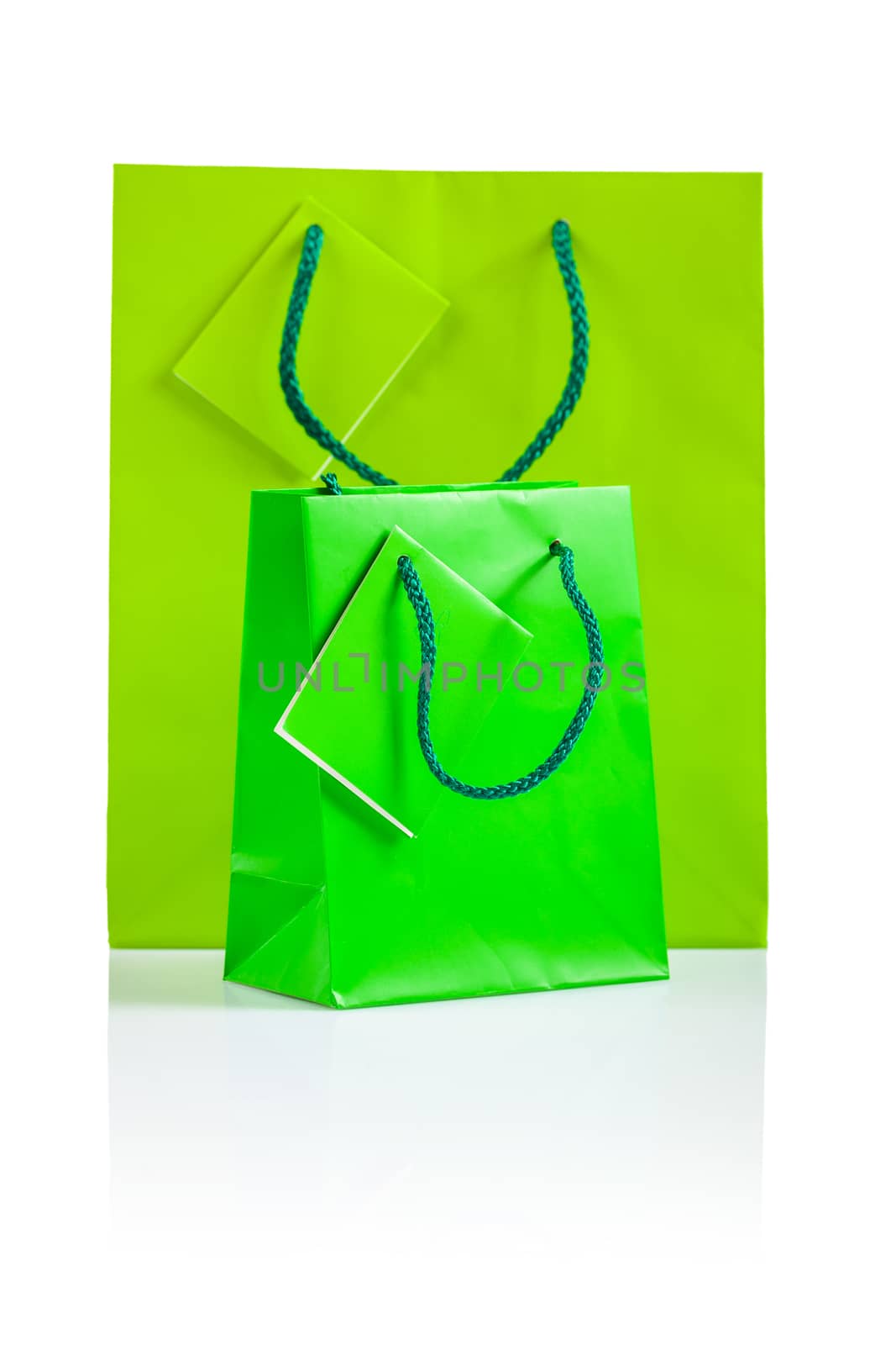 two green paper bags isolated