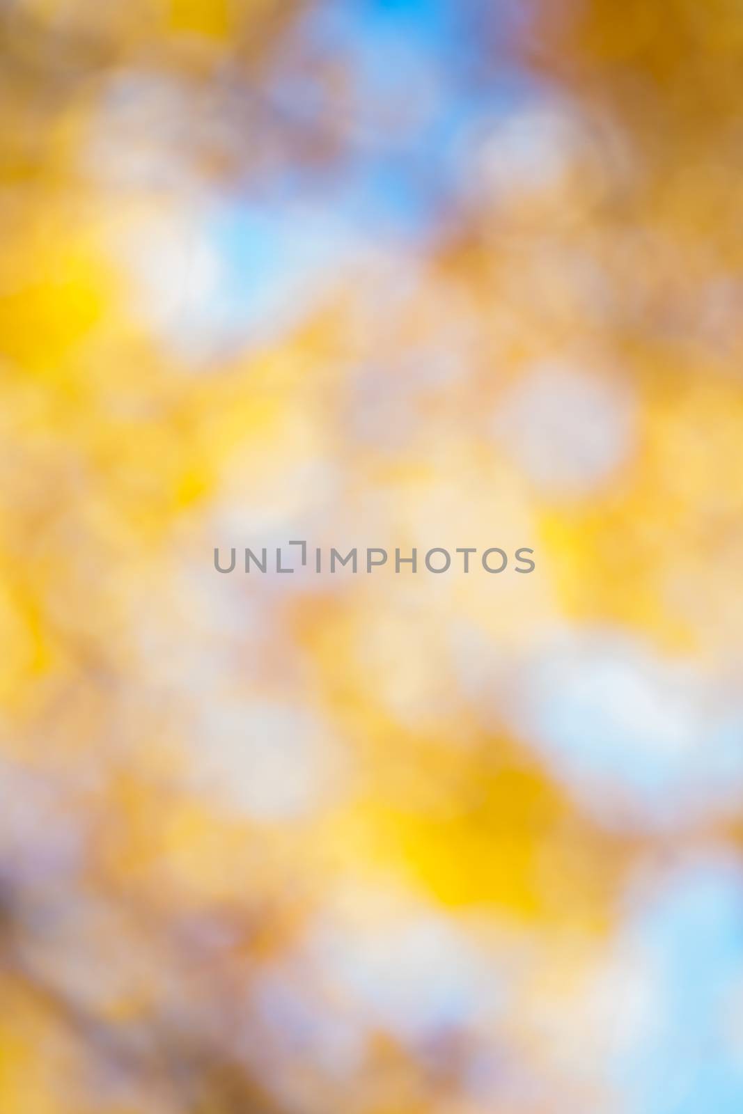 yellow autumn bokeh by mihalec