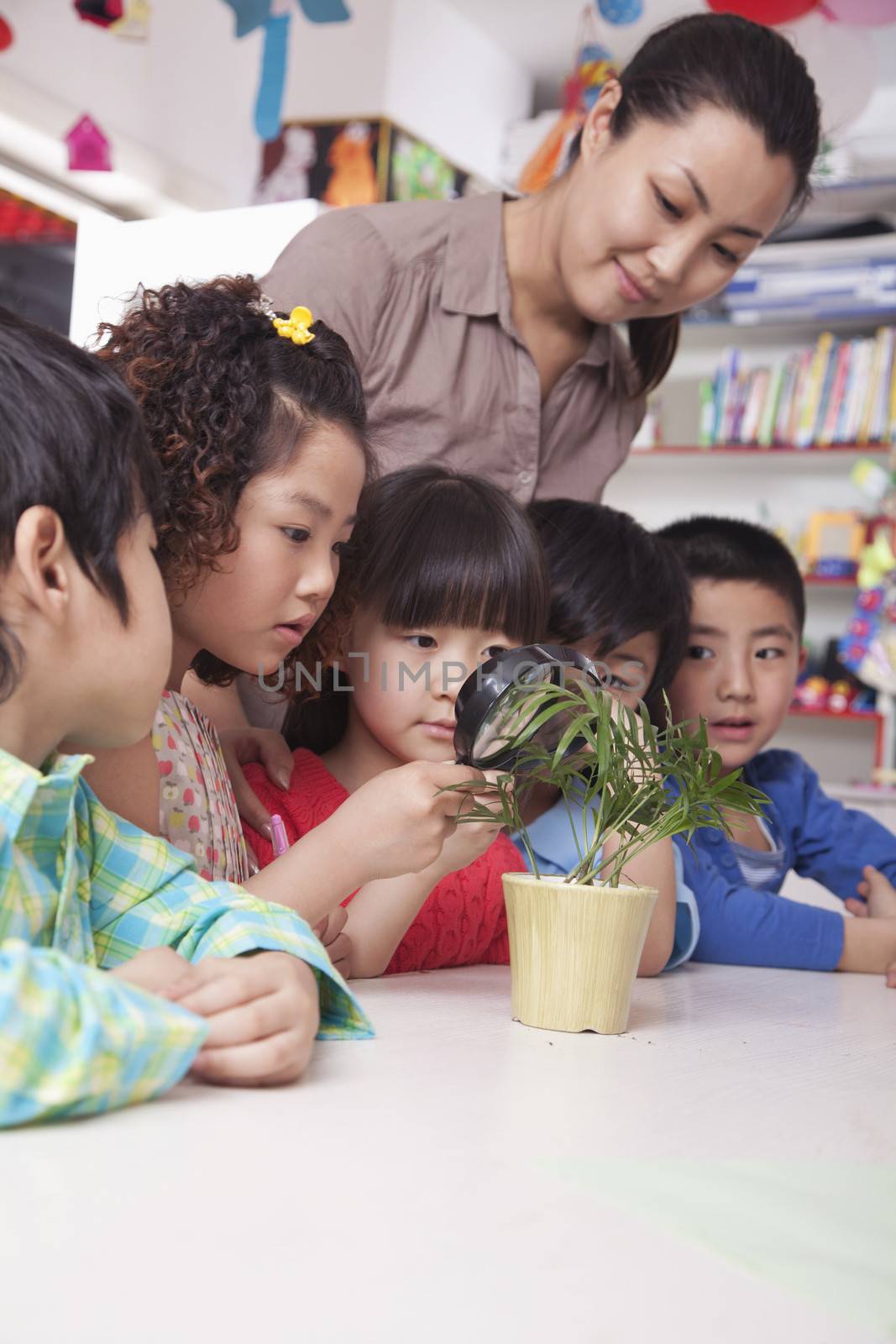 Students Looking at Plant with a Magnifying Glass